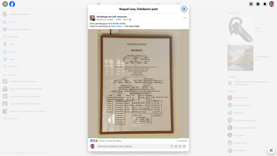 This Facebook post shares a family tree (arbre généalogique) of the Serfaty family, published at the request of Doris Feder. The Serfaty surname is a prominent Moroccan Jewish family name, and this genealogical documentation represents an important contribution to preserving Moroccan Jewish heritage and family history. The post appears in a Facebook group dedicated to the genealogy of Moroccan Jews (Généalogie des Juifs du Maroc), highlighting the community's ongoing efforts to document and maintain their historical family connections and lineage.