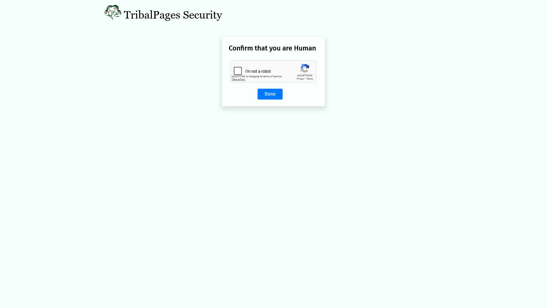 TribalPages Security